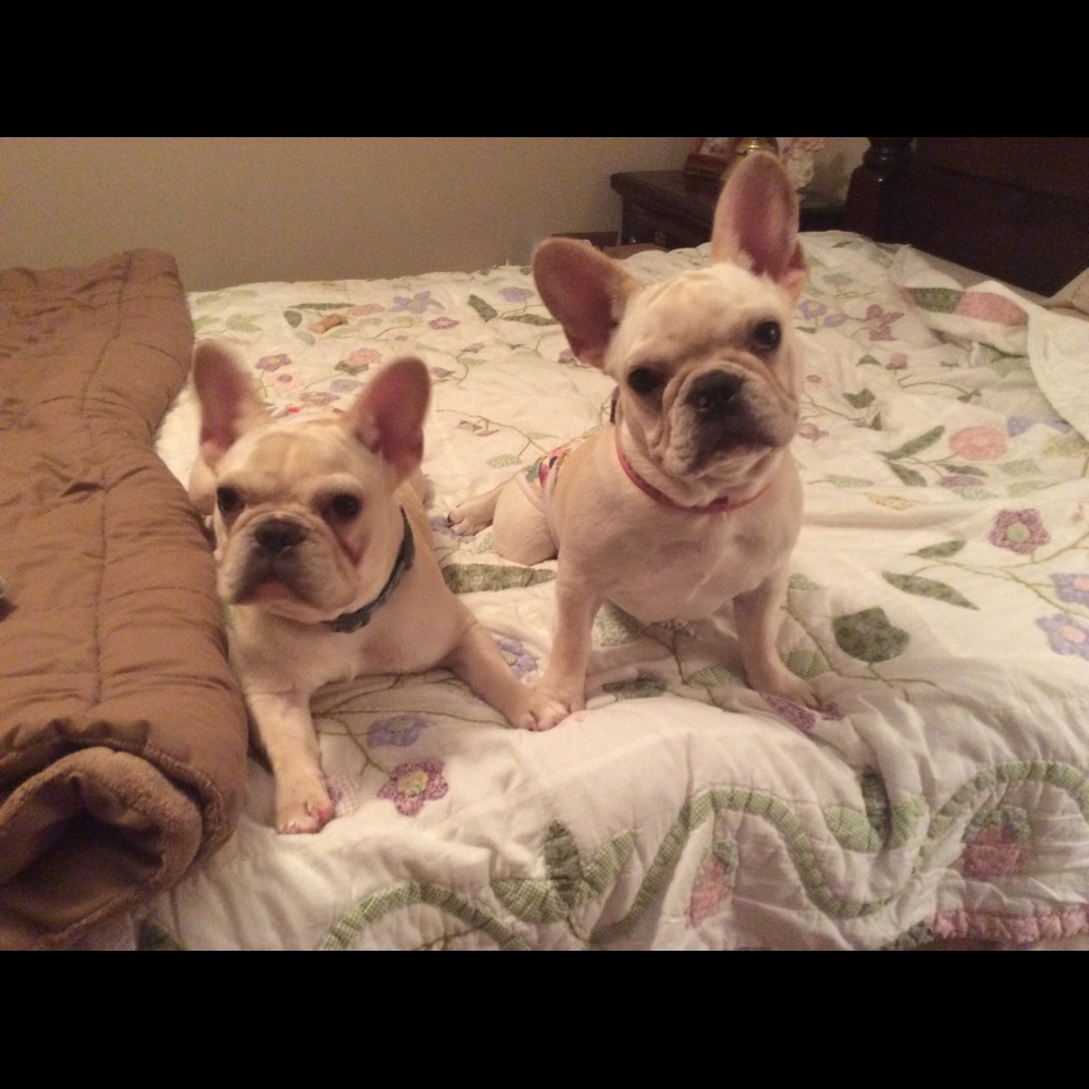 Meet your Posher, Emerald